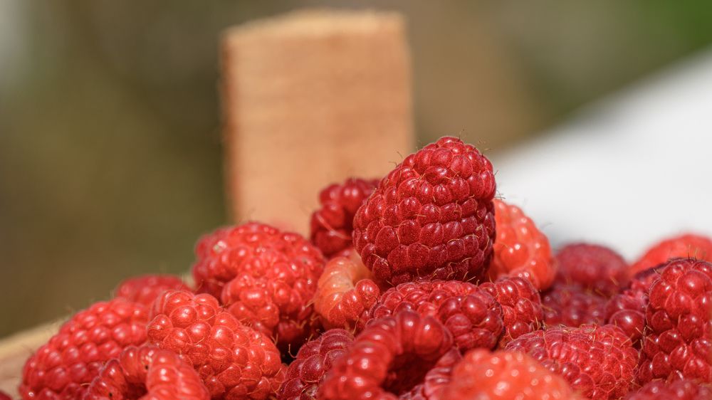 Photograph by Милен Младенов