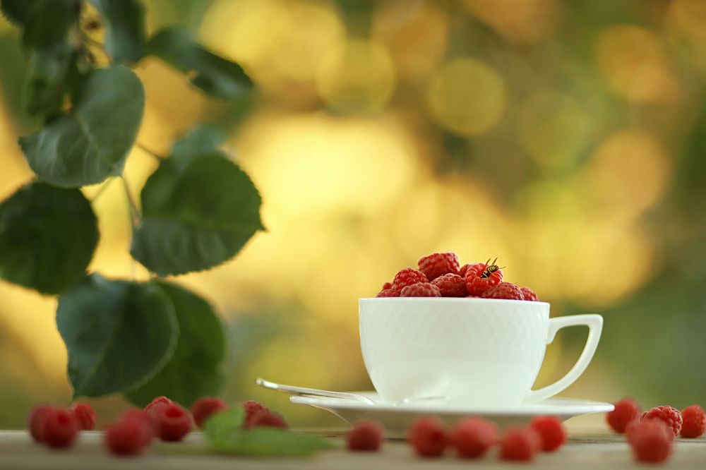 Photograph by Олеся Кучерова