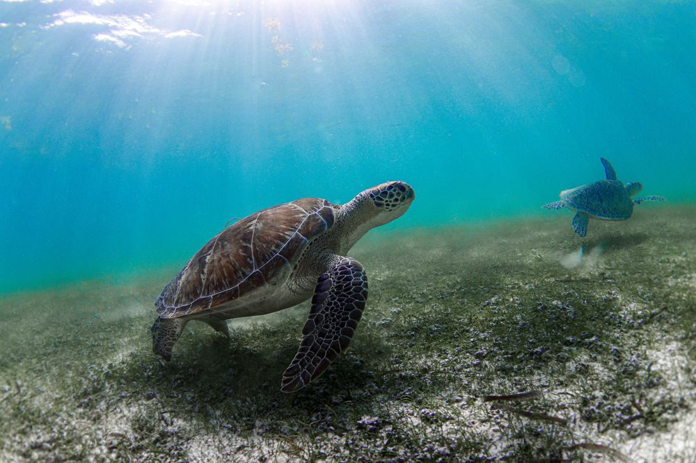 Photograph by Mizael Palomeque