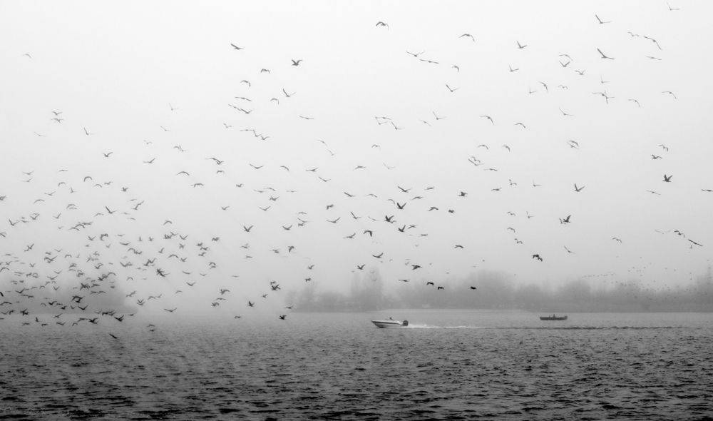 Photograph by Екатерина