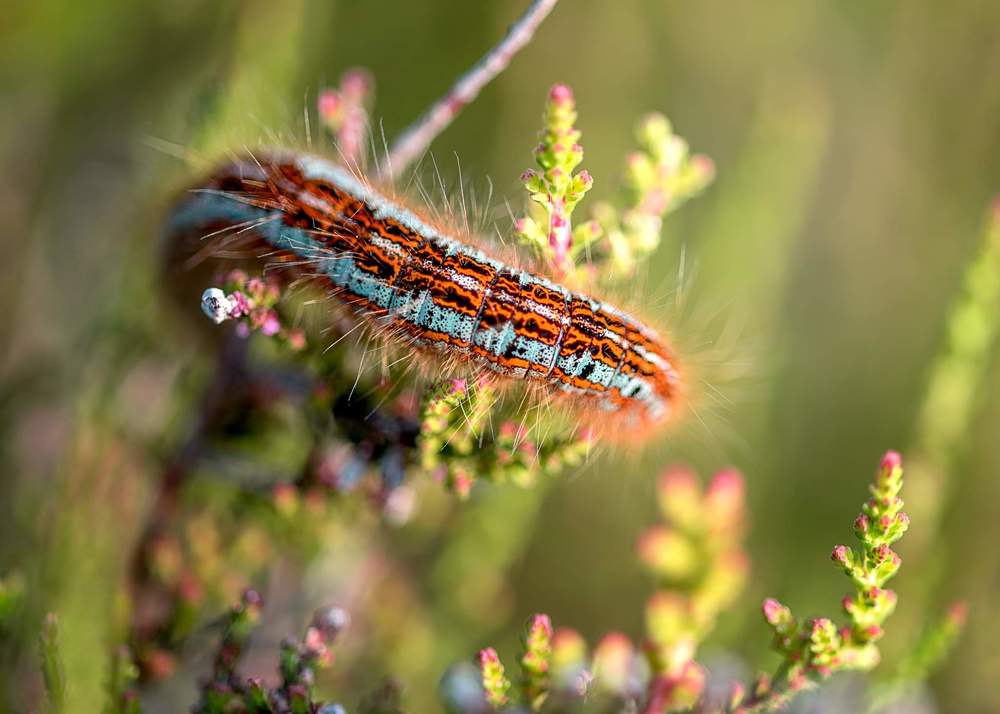 Photograph by Sabina Tomala