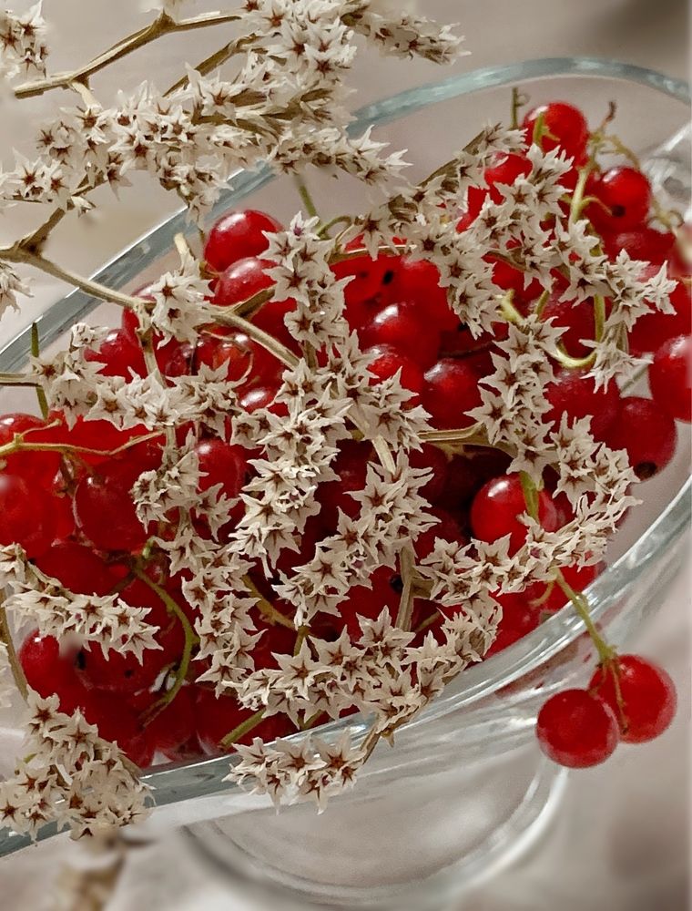 Photograph by Наталя Мартинчик