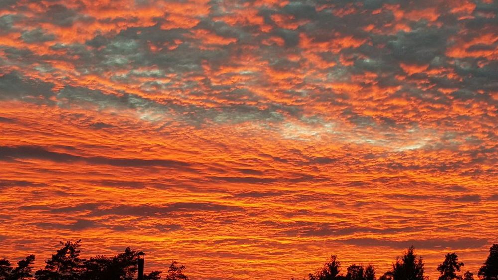 Photograph by Ирина Русинович