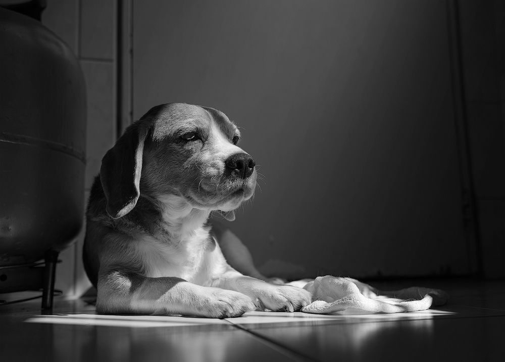 Photograph by Eduardo Machado