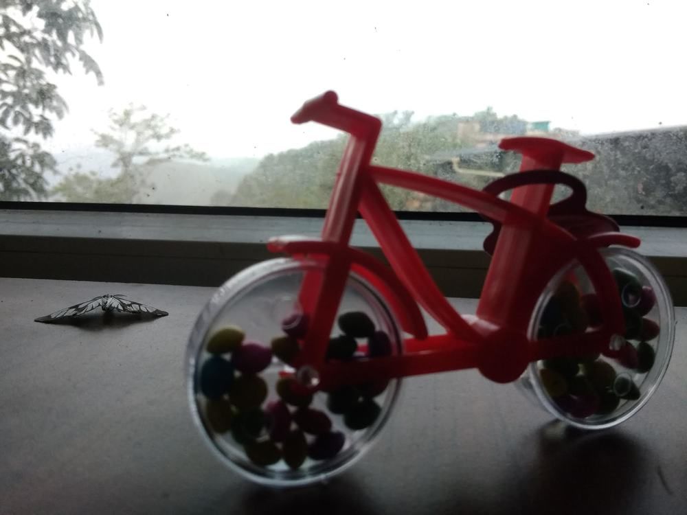 Photograph by NIDHIN B