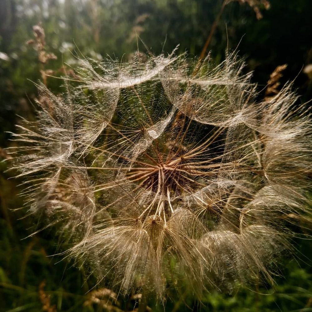 Photograph by Инна Литвин