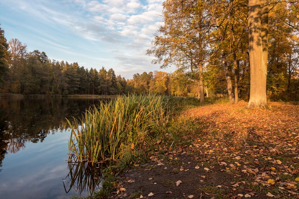 Photograph by Андрюс