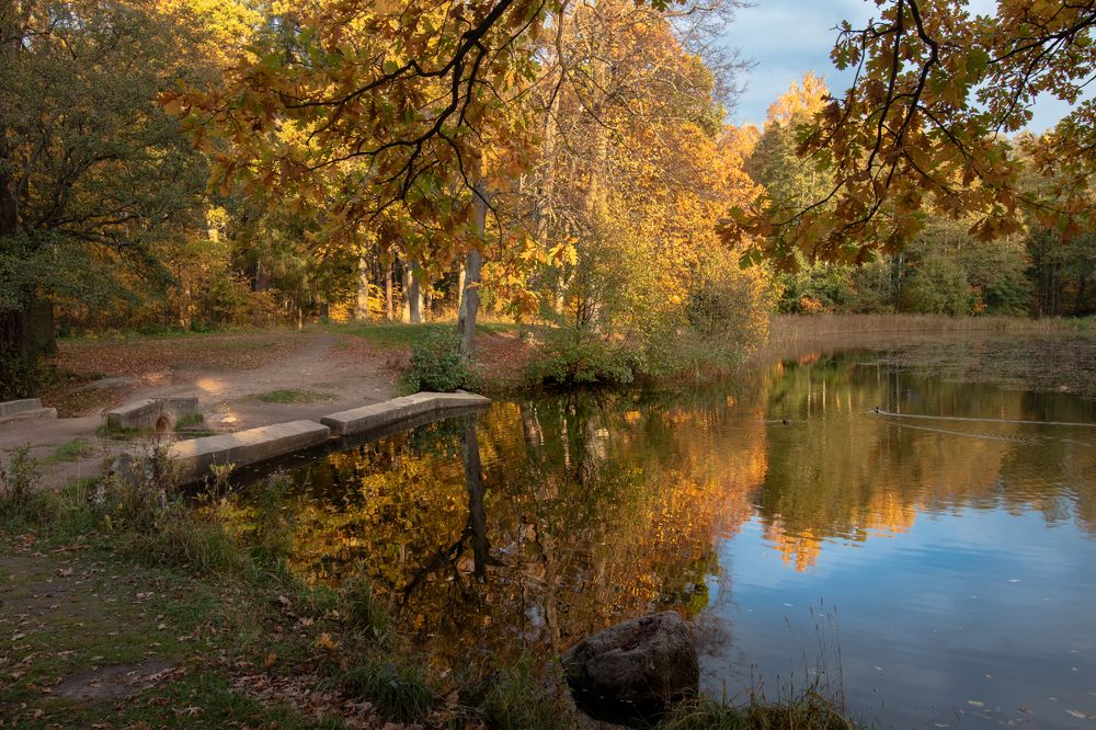 Photograph by Андрюс