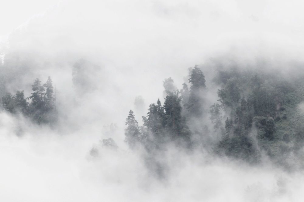 Photograph by Татьяна Кужлекова