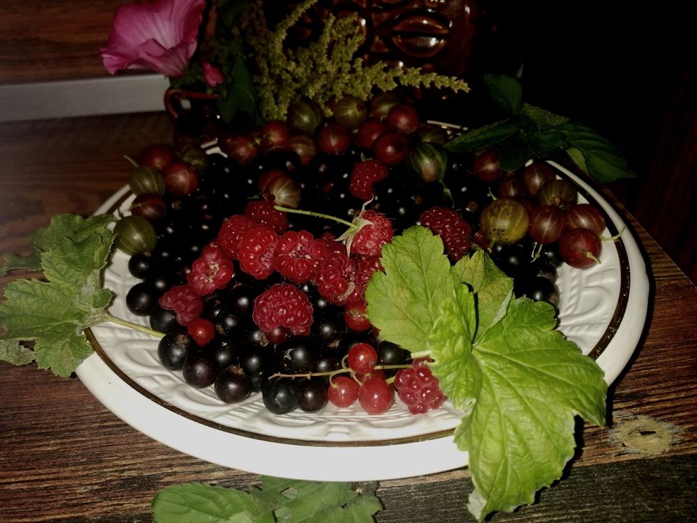 Photograph by Елена Сологубова