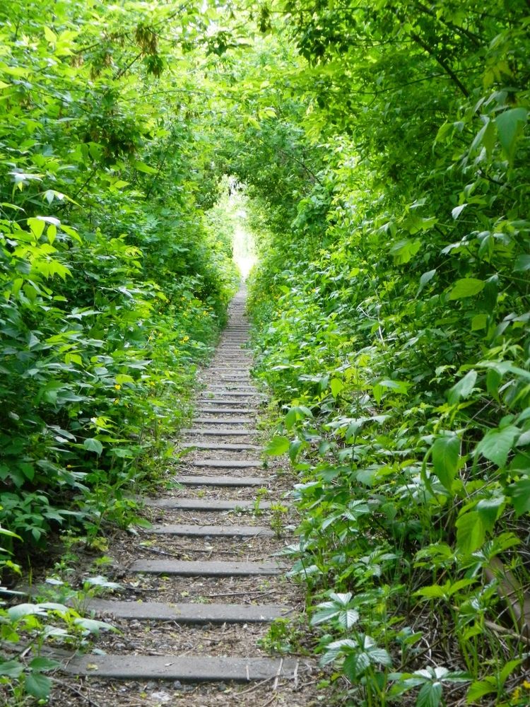 Photograph by Яна Сенчилина