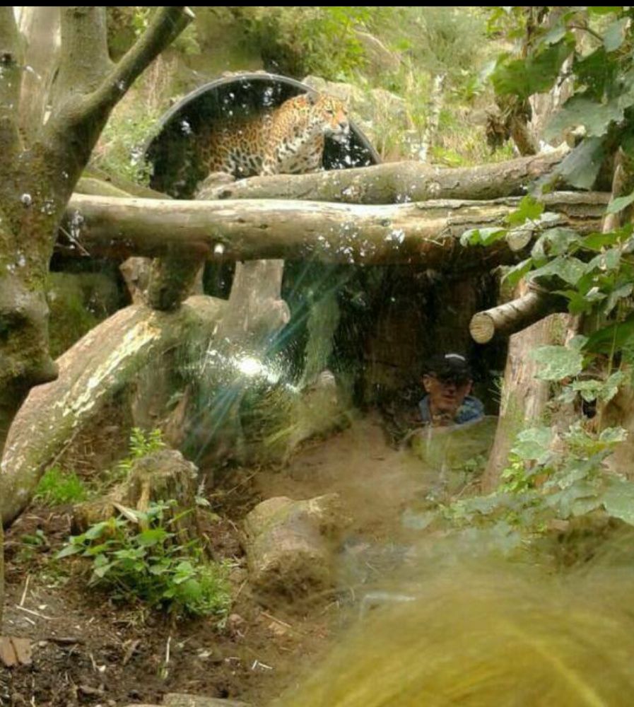 Pic taken in Scotland Zoo