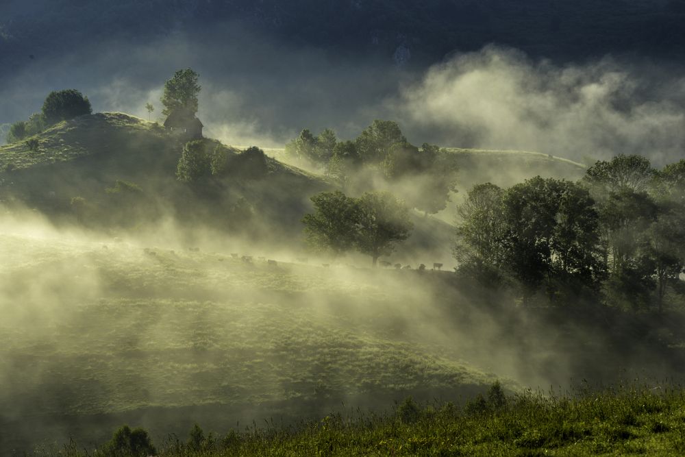 Фотография автора Iulian Vieru