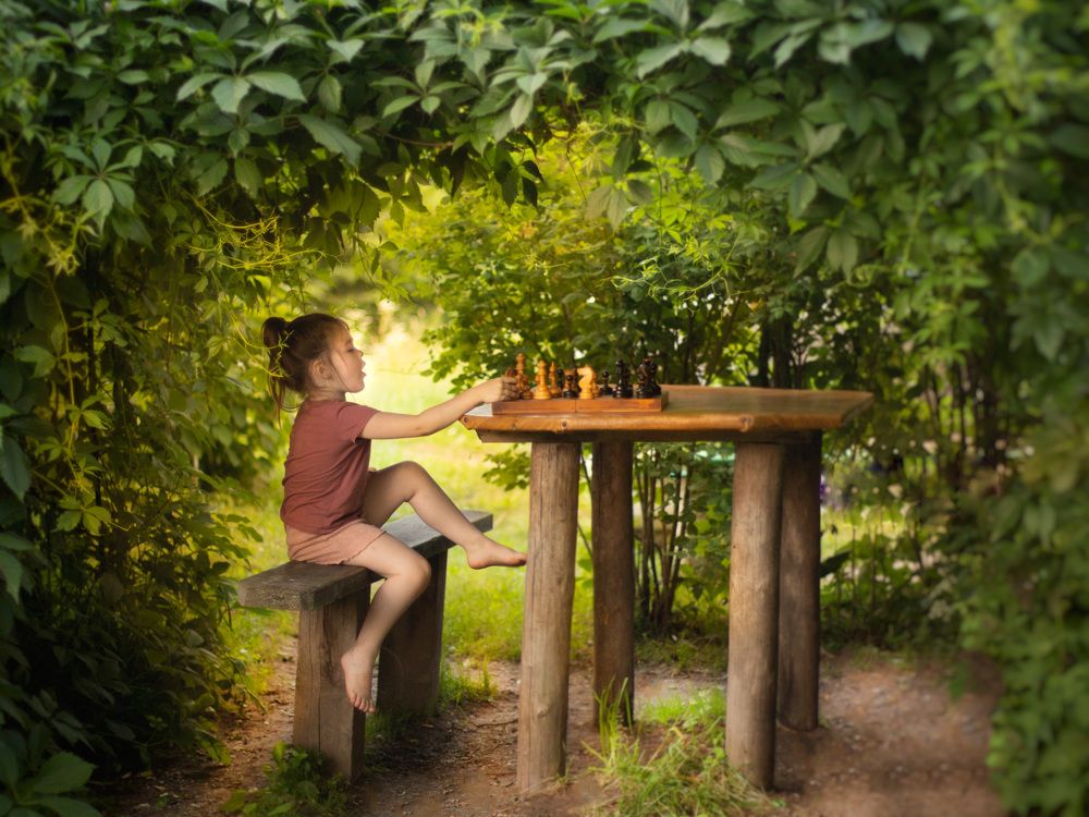 «Ход конём»