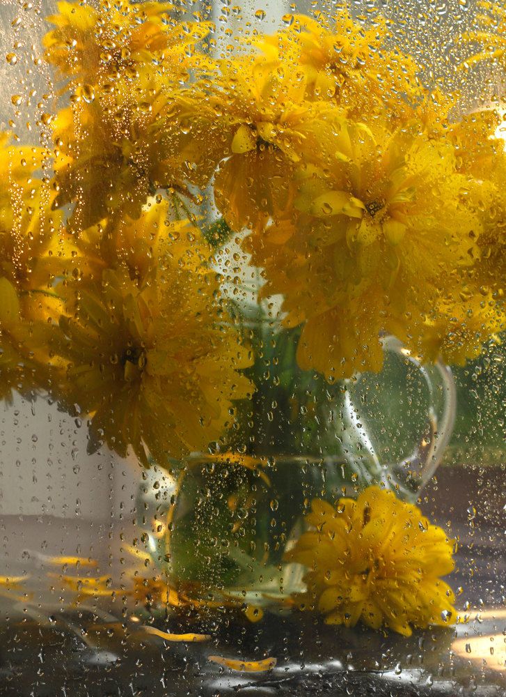 Photograph by Алена