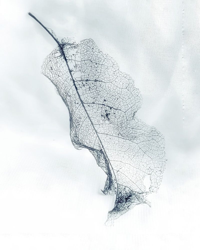 Тонкая натура