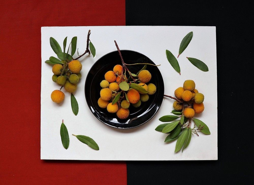 Фотография автора Esther Spektor