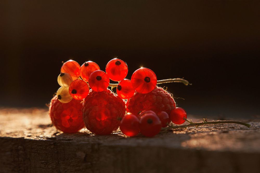 Photograph by Оксана Сироштан