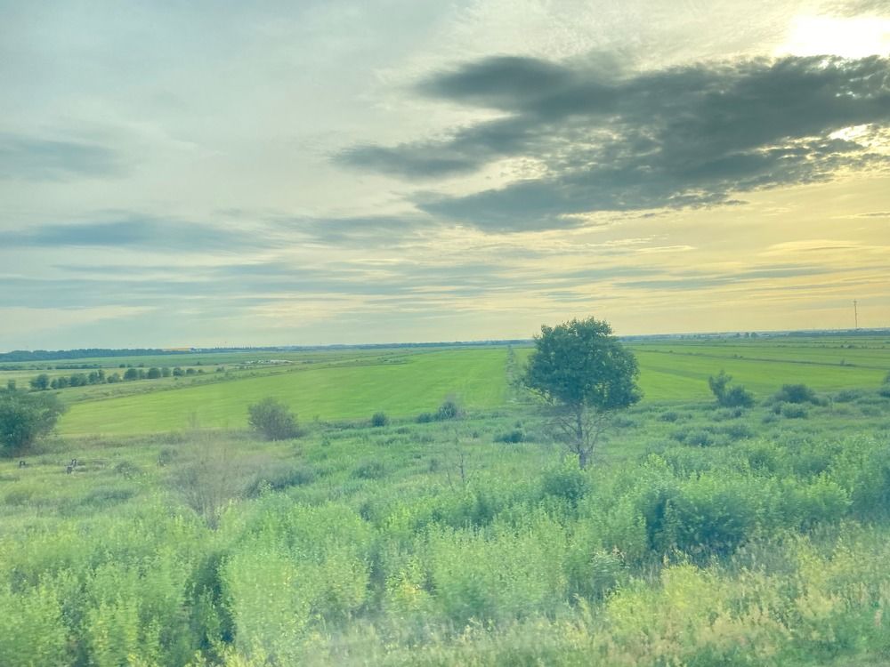 Photograph by Сергей Коробейников