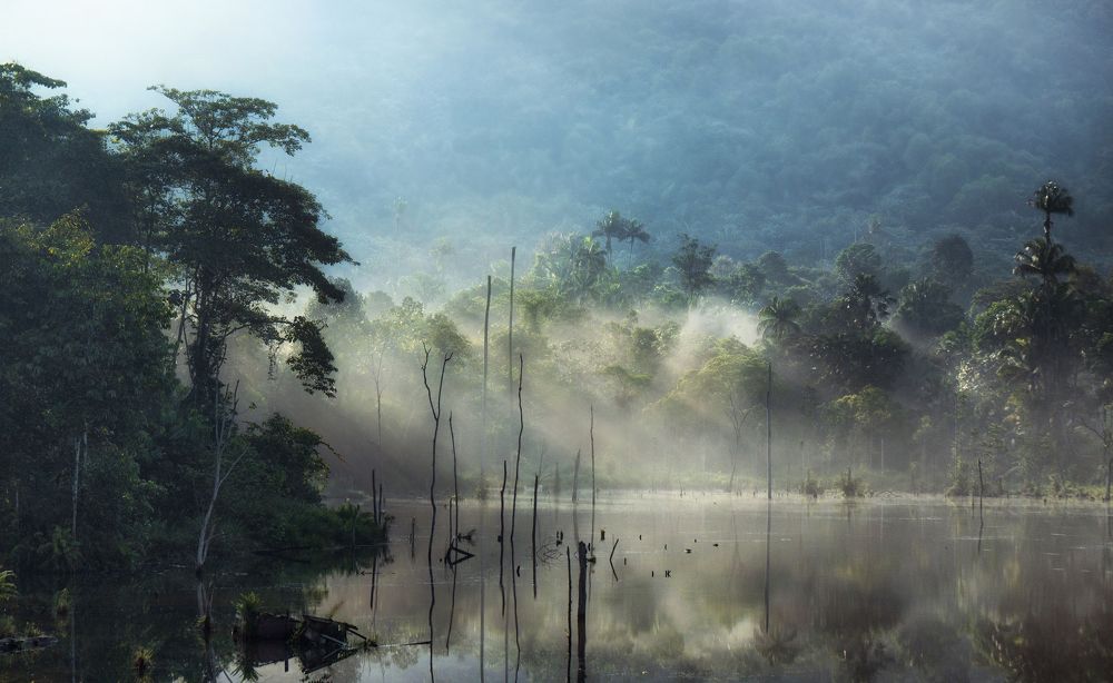 The landscape that changed magically