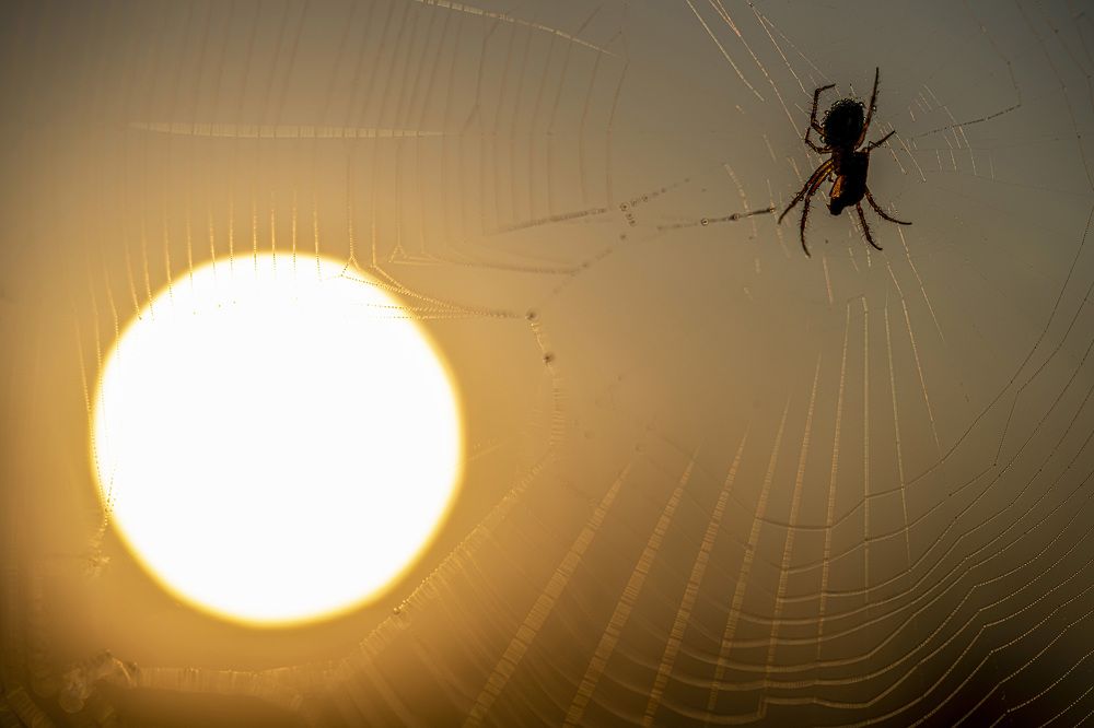 Photograph by Юрий Чернов