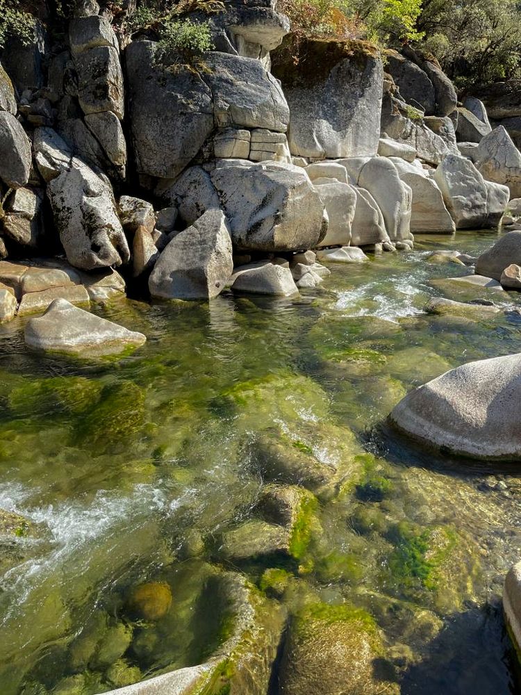 Фотография автора Katherine Bianko