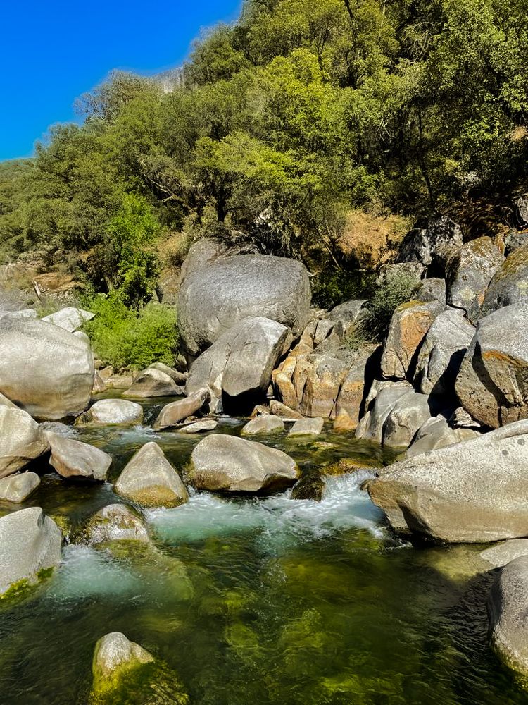 Фотография автора Katherine Bianko