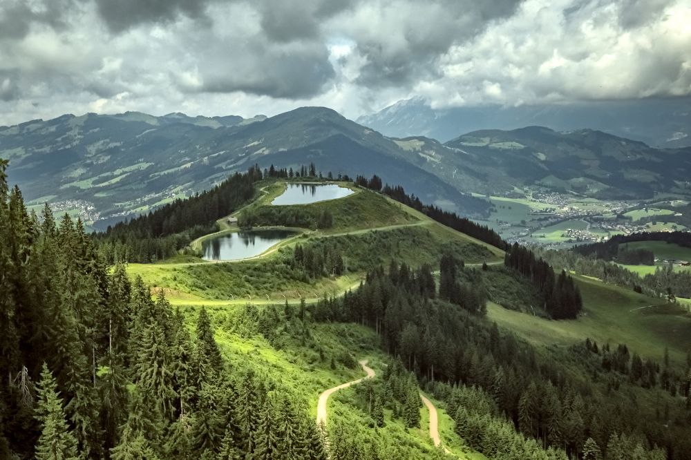 Photograph by Elena Gebert