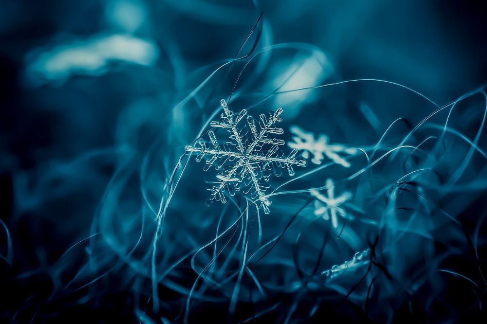 Photograph by Юрий Поповчак