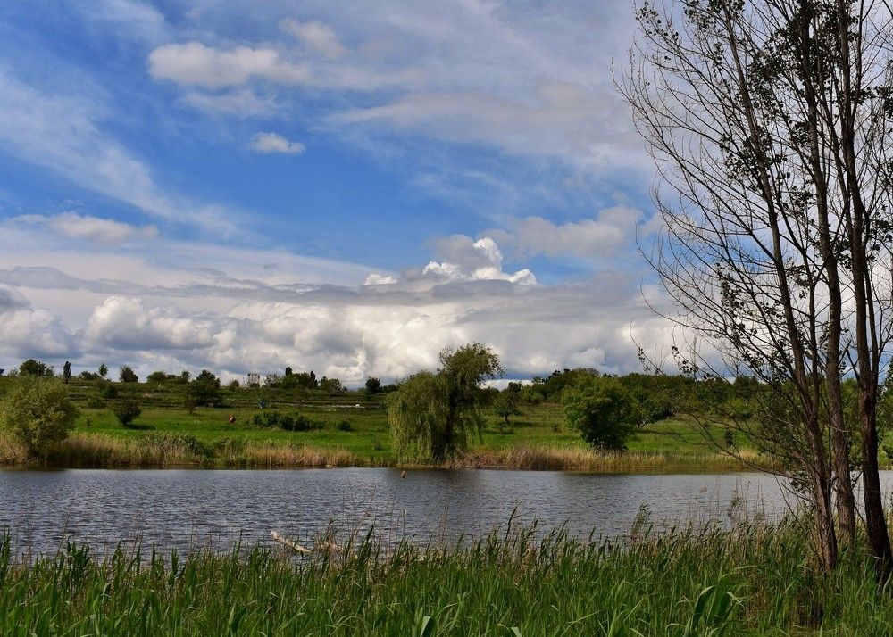 Photograph by Олександр Розум