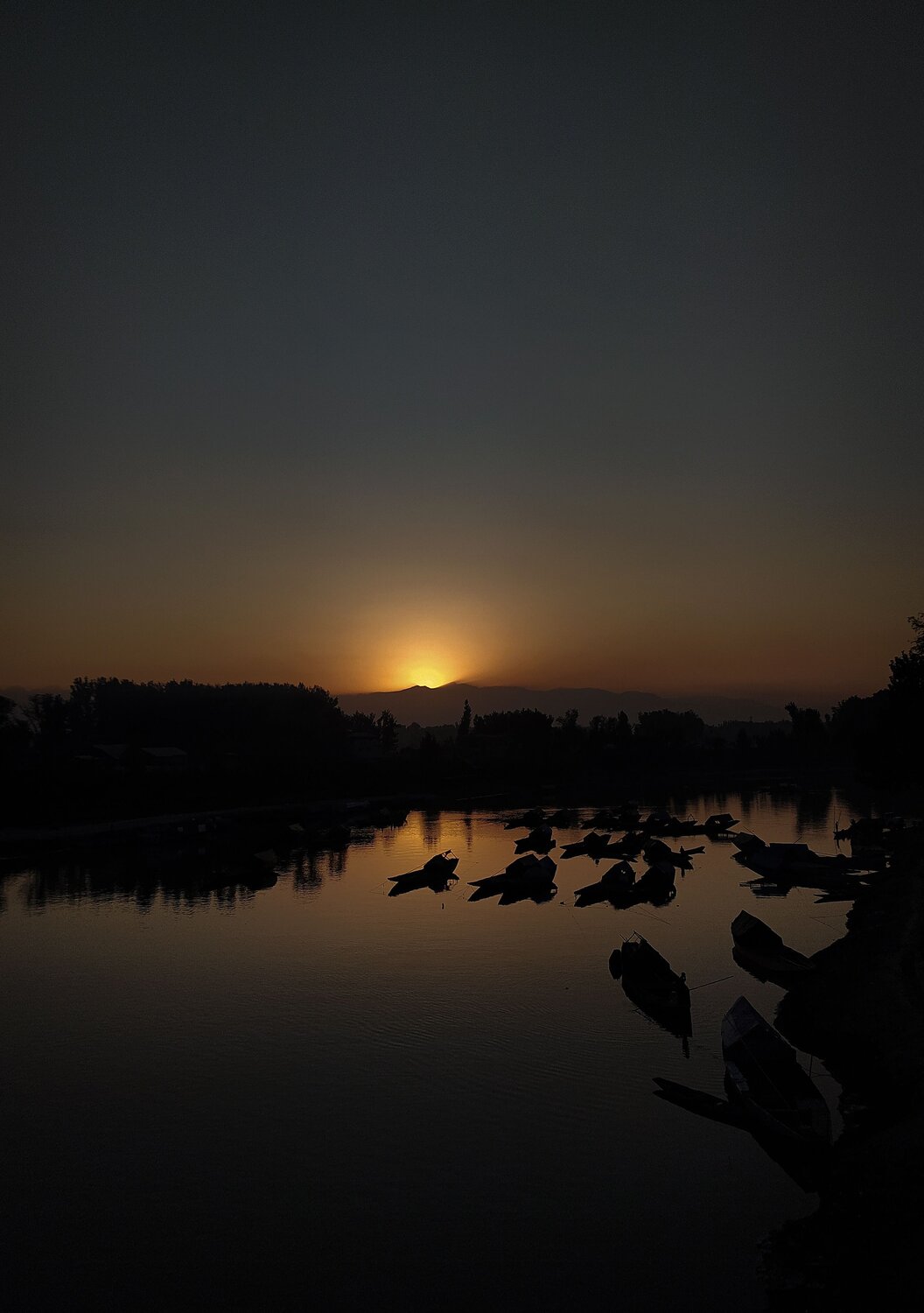 Photo #6333460