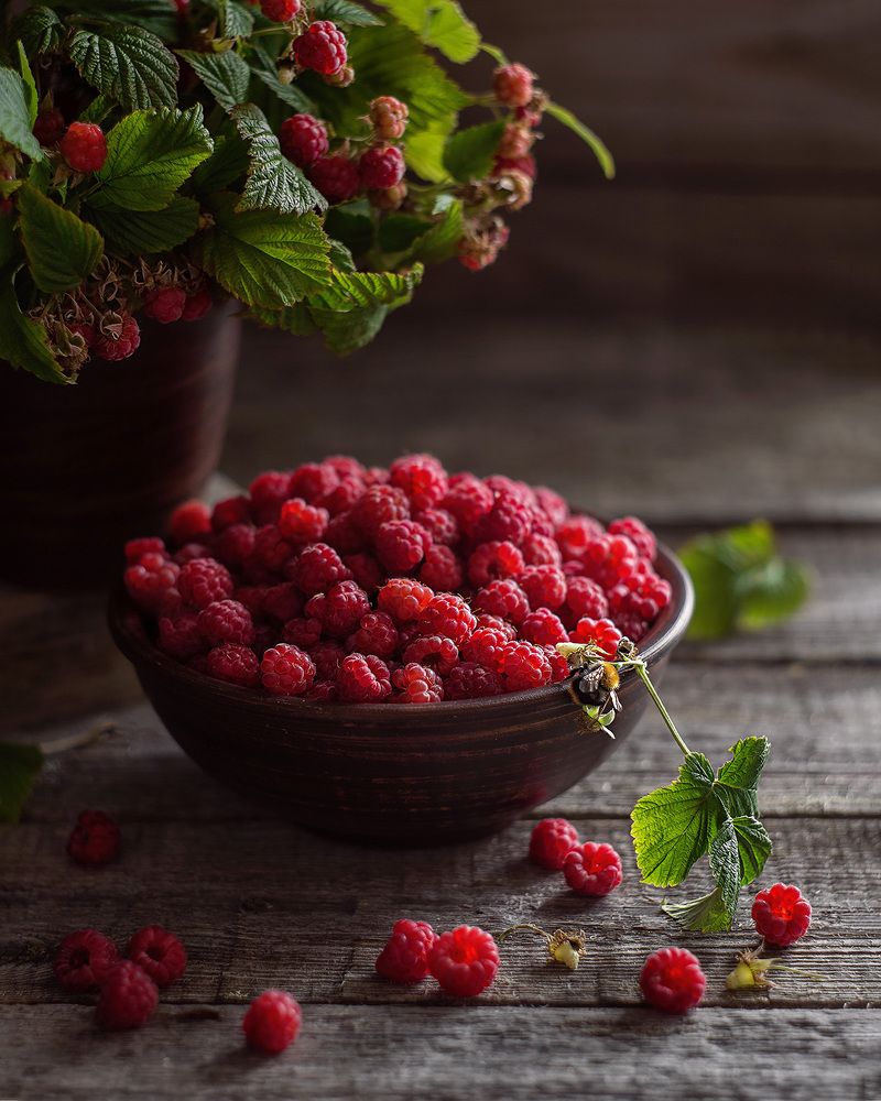 Ягода малина