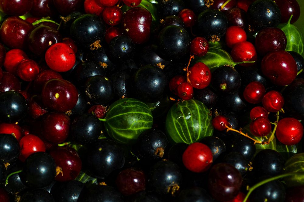 Photograph by Дарья Маркина