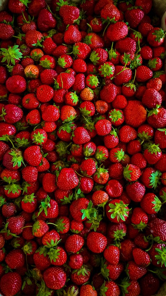 Photograph by Дарья Маркина