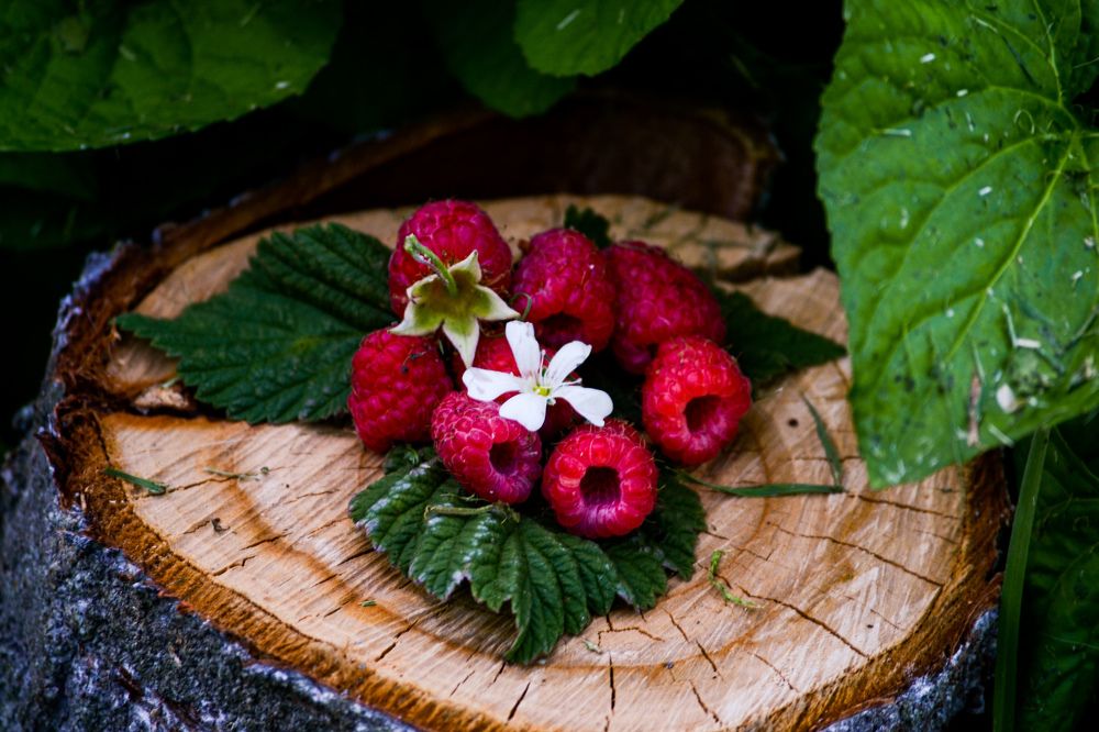 Photograph by Дарья Маркина