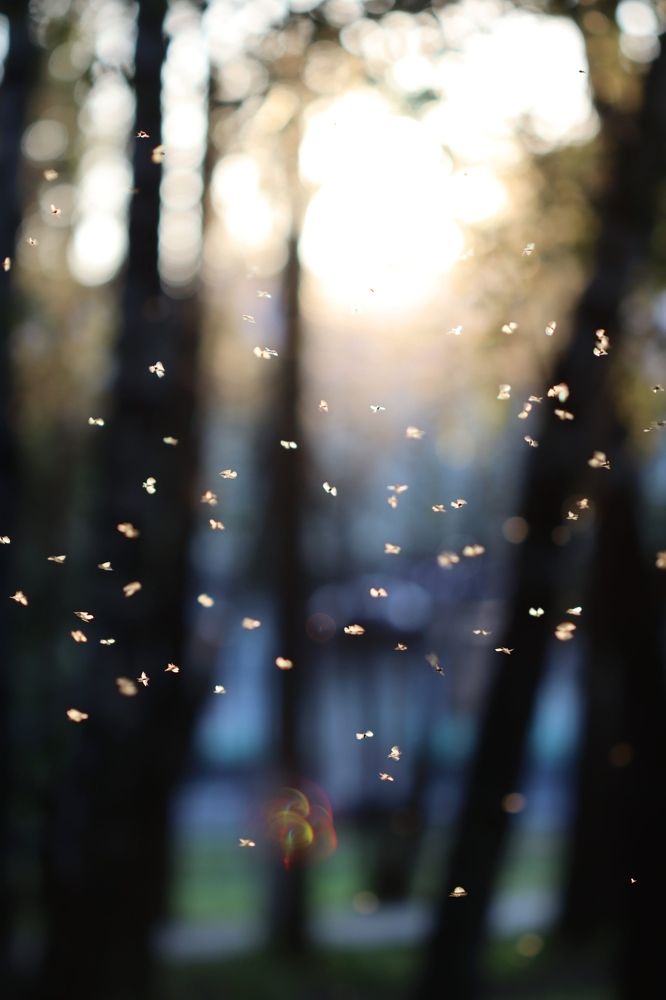 Photograph by Алексей Турсунов