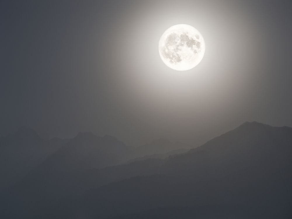 Фотография автора Илья Копелиович