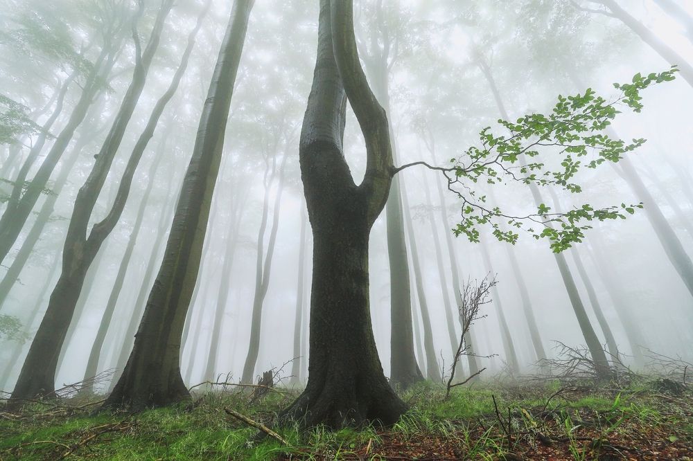 Фотография автора Michaela Vinterova