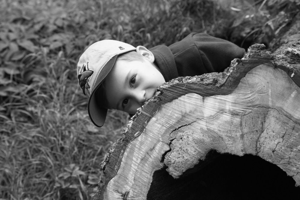 А кто там...?!