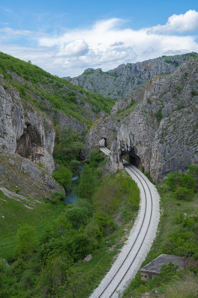 Photograph by Branislav Andjelkovic