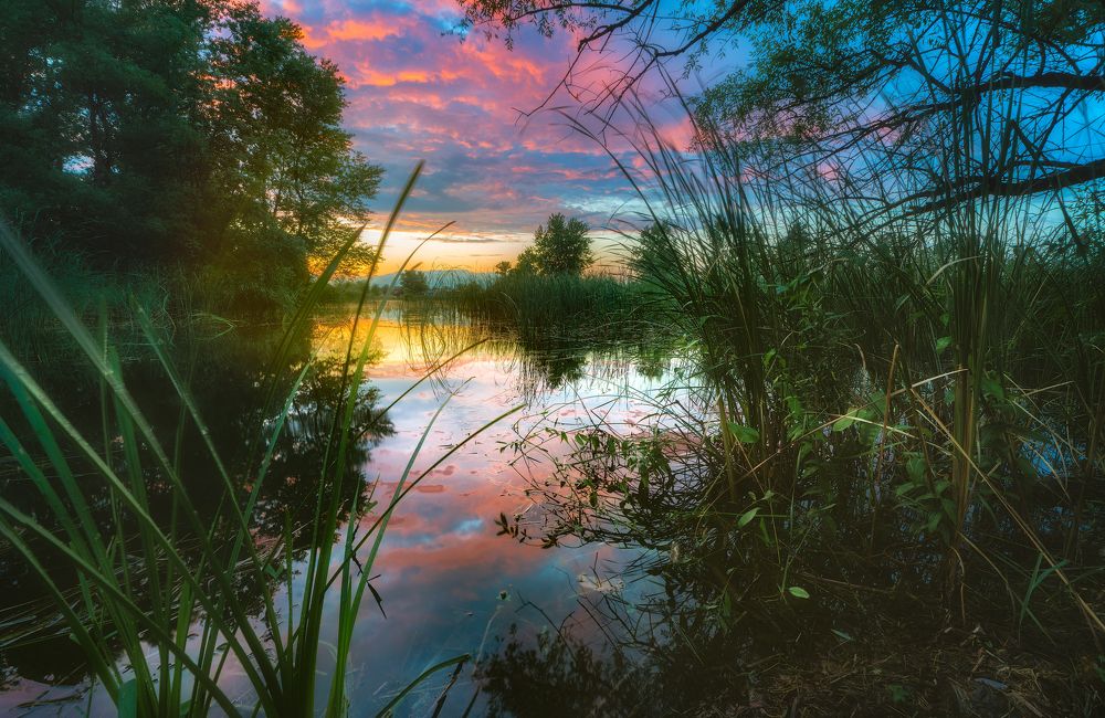 Photograph by Александр Орнатский