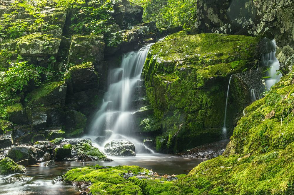 Photograph by Александр Кузнецов