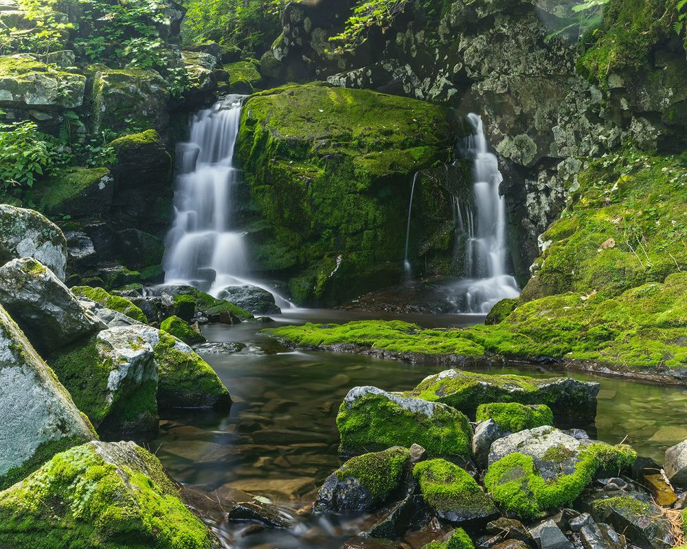 Photograph by Александр Кузнецов