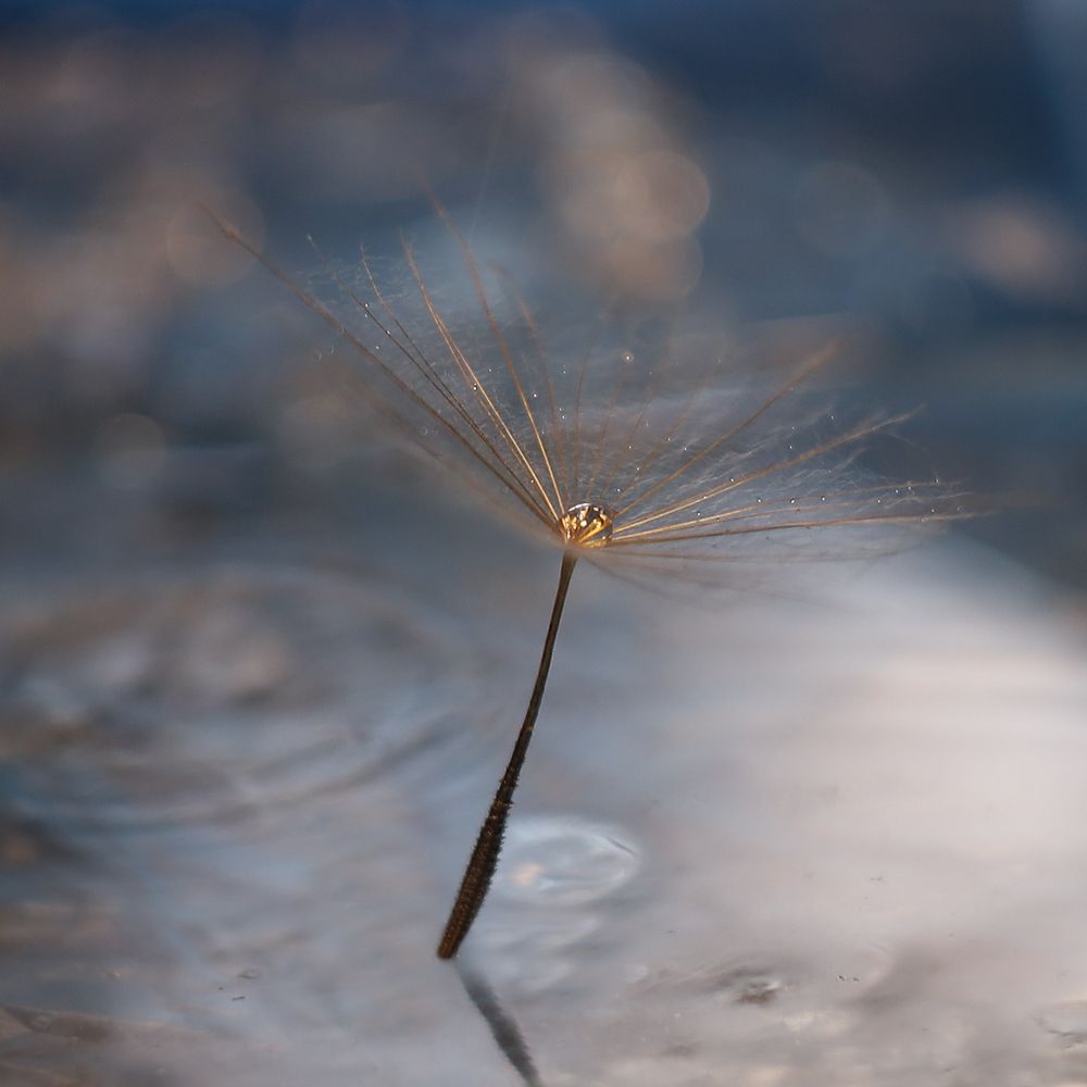 Photograph by Лада Филлипова