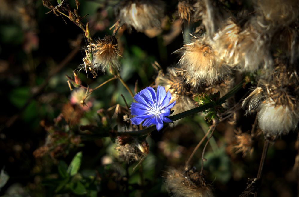 Photograph by Измаил Ефимов