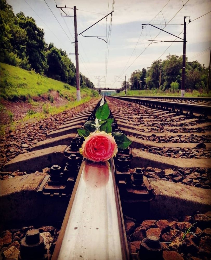 Photograph by Марина Побережная