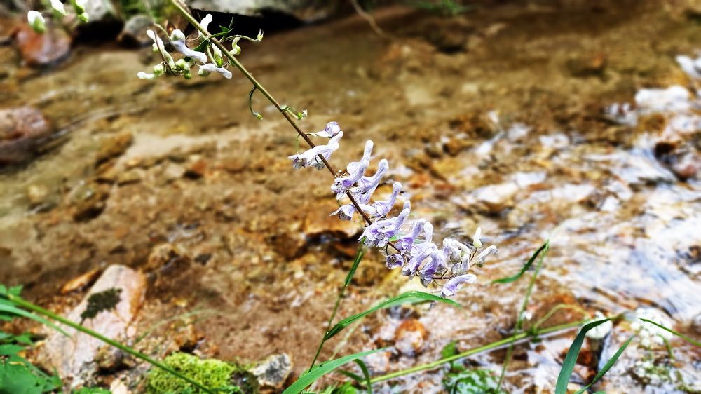 Photograph by Наталья Баранова