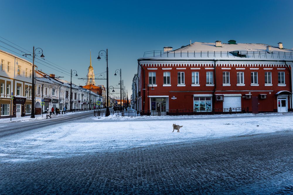 Фотография автора Виталий Смелик