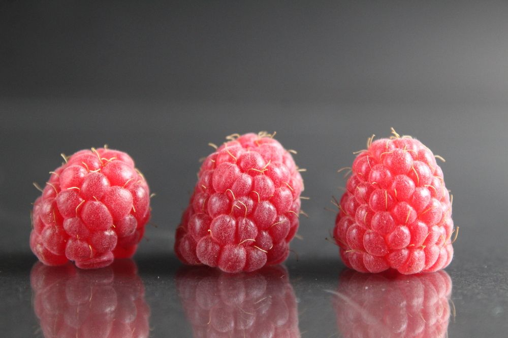 Photograph by Кристина Шоба