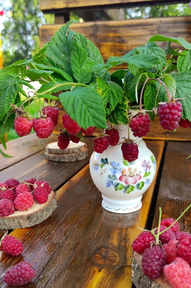 Фотография автора Марина Гусева